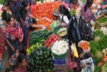 Learning with Traditional Tz’utujil Families